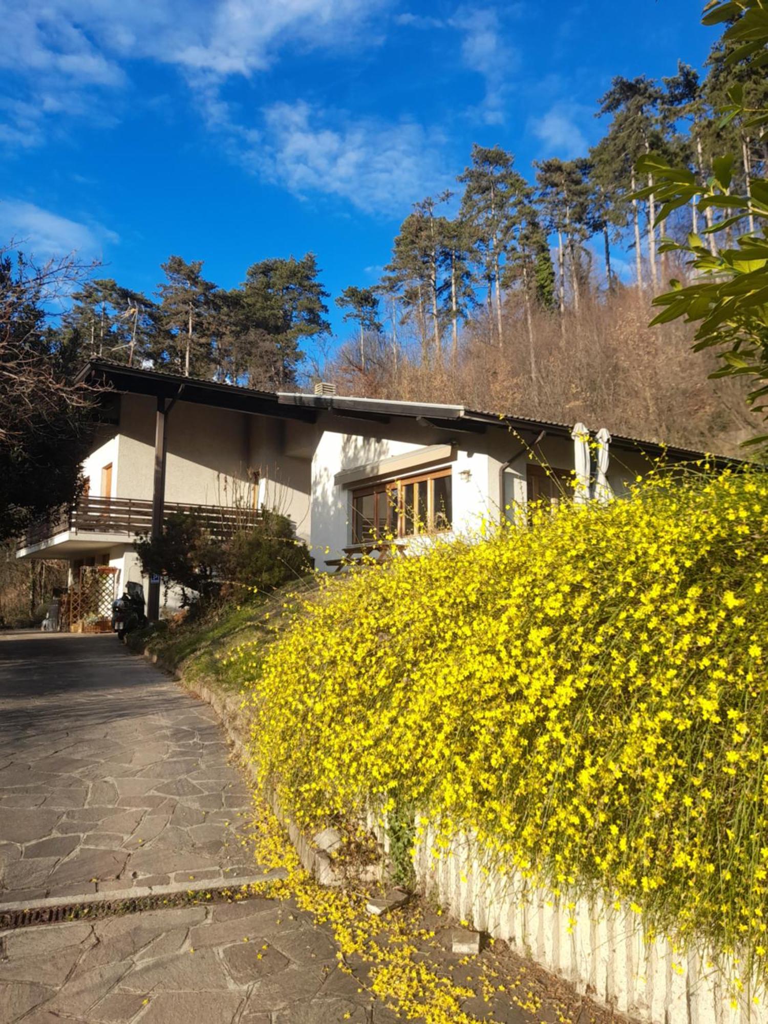 Marzola Bed and Breakfast Trento Exteriör bild